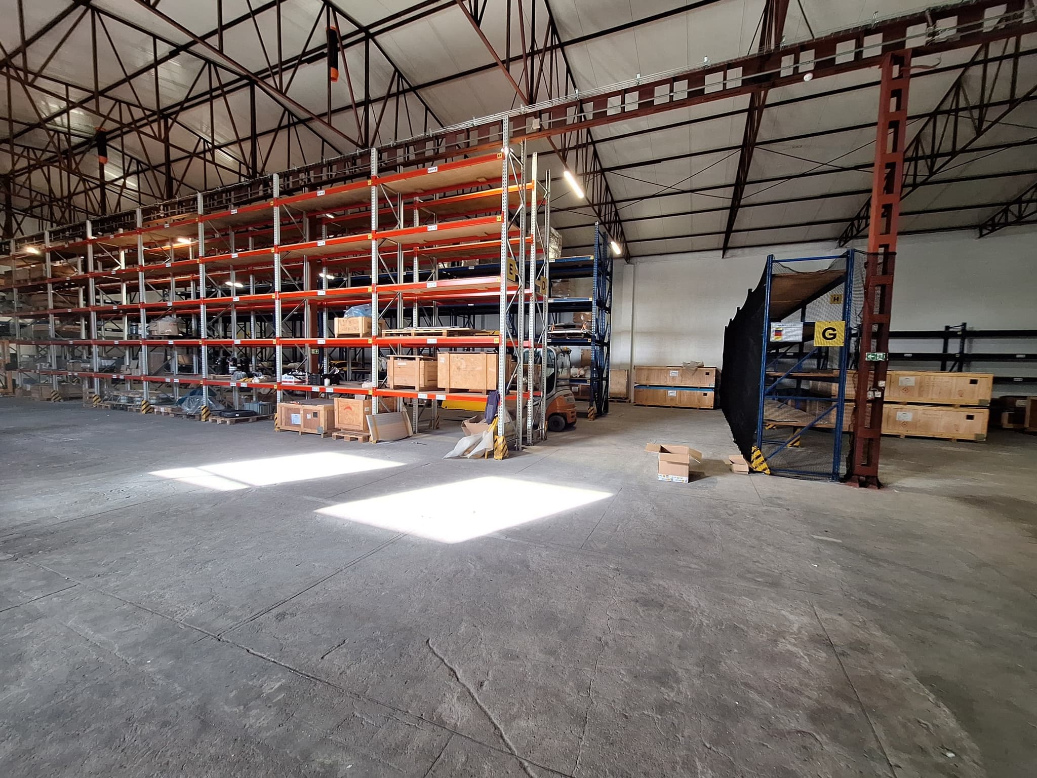 Wide-angle view of warehouse hall showing full racking depth and clearance for equipment